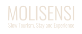 logo molisensi sabbia